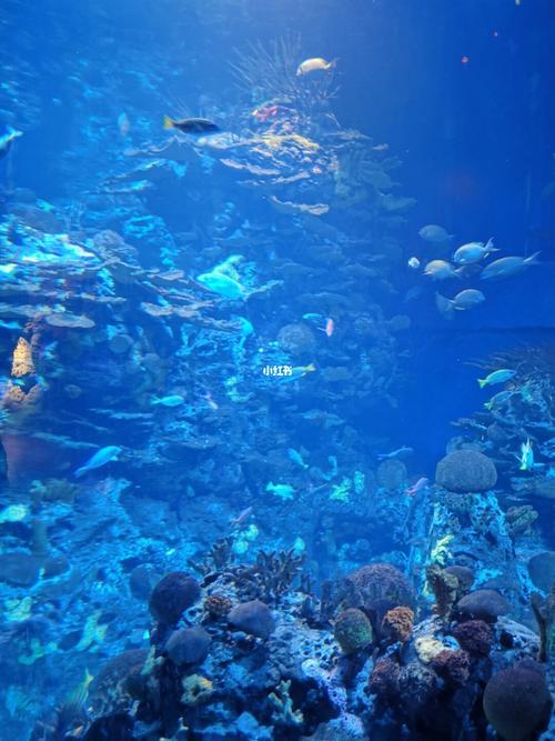 海底世界_风景_沿途的风景_出行_出行攻略