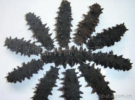 俄罗斯萨哈林海参