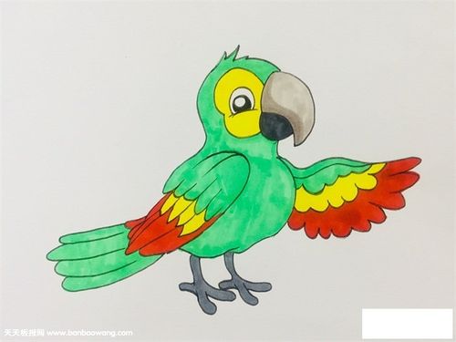 如何画鹦鹉简笔画步骤-儿童简笔画大全