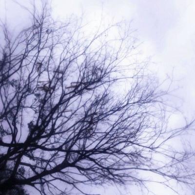 高清美丽风景微信头像图片