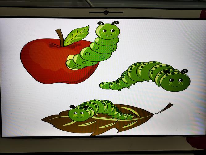 第5次美术提高活动《油画棒背景涂色:毛毛虫和蝴蝶》