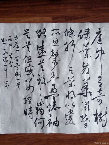 冯军涛日记:庭中有奇树,绿叶发华滋.古