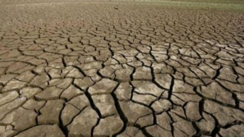 研究称地球步入新一轮"大灭绝时期":人类首当其冲