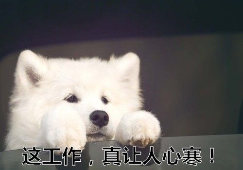 人,最怕的就是心寒,当你在为生活为工作一步一步往前走的时候,总有人