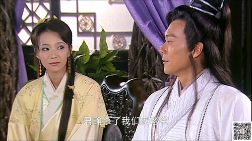 [百度云][内地][2012][龙巡天下][王灿/曾安琪/周明增