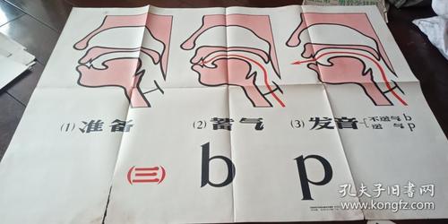 汉语拼音字母发音示意图解(16开 馆藏)