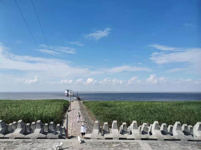 上海周边自驾横沙岛