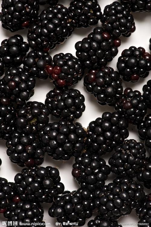 黑草莓图片