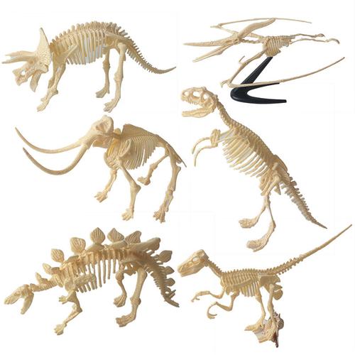 恐龙考古骨架三角拼装霸王龙剑龙猛犸象