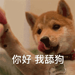 舔狗系列表情包合集我要做你的专属舔狗