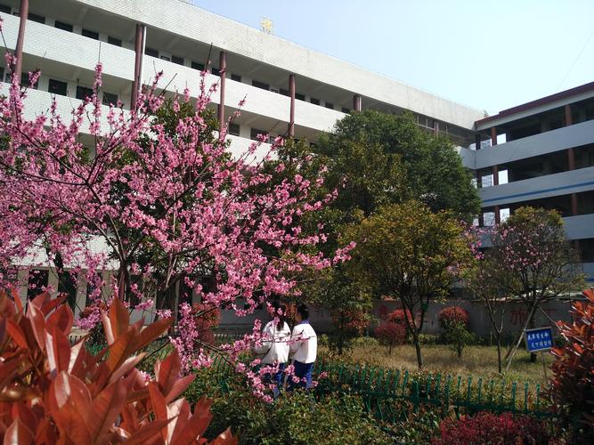 常宁市松柏中学2019年秋季初一新生招生简章