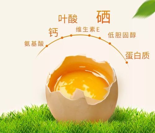 我们的褐壳富硒鸡蛋 蛋白浓稠,营养更容易吸收.