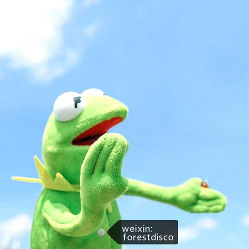 一折科密特青蛙