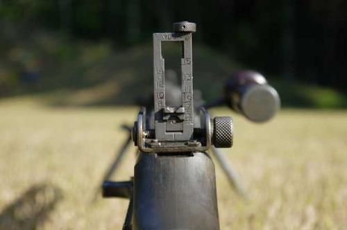 世界上最好的枪第1被称为世界枪王