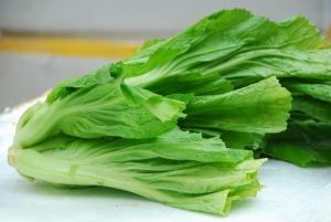 芥菜-营养价值-中药药用价值网