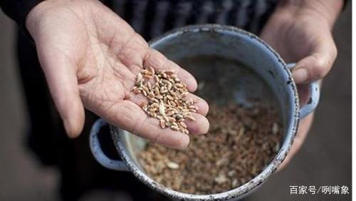 中央呼吁节约粮食,央视批吃播浪费,世界粮食危机有多