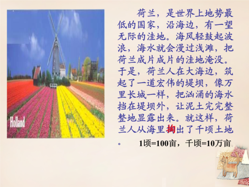 五年级语文下册 《荷兰的花》课件3 沪教版.ppt