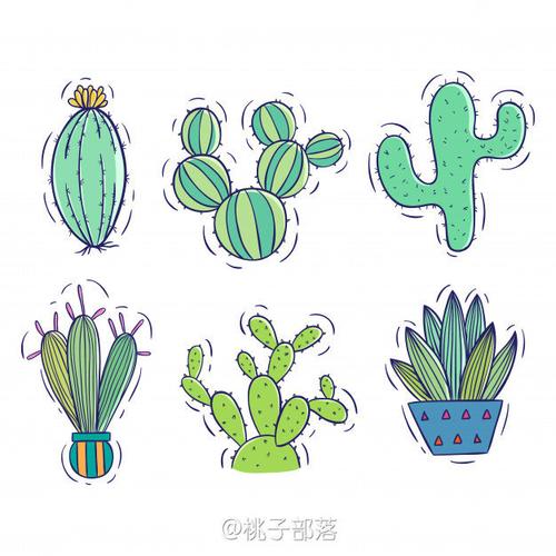 仙人球和仙人掌,很简单,开始临摹吧!#手绘,漫画,简笔卡通画
