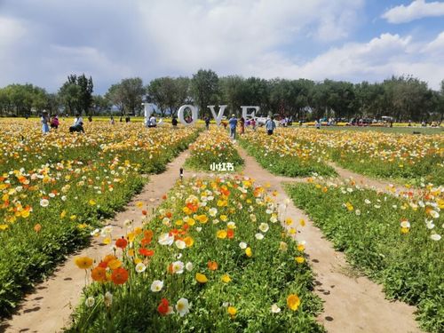 首农紫谷伊甸园_景点_写生_出行_人文风光展示_自然