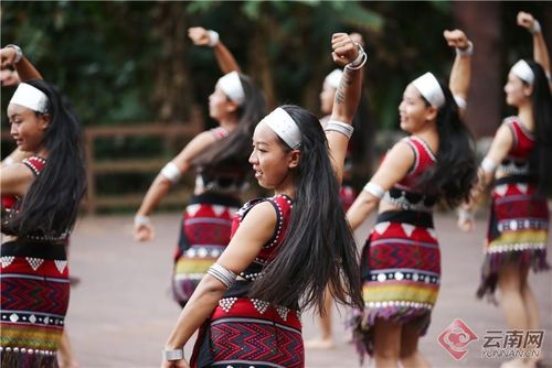 在西盟县勐梭龙潭公园内佤族姑娘表演的舞蹈《甩发舞》