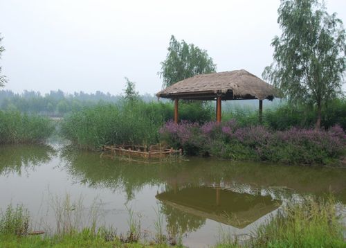 德州减河湿地公园