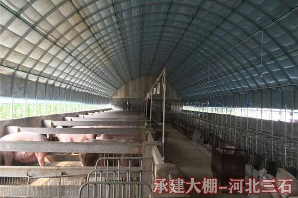 嵊州市鸭子养殖温室大棚建设专业建造公司