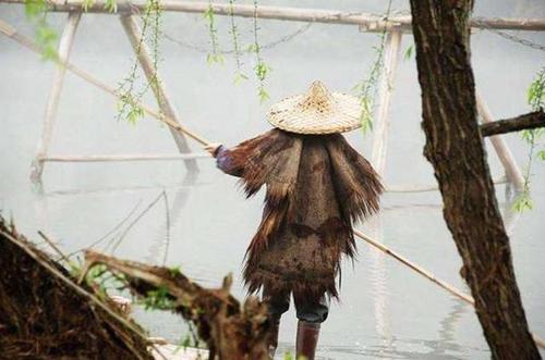 青箬笠,绿蓑衣?箬笠是什么做的?配饰变包装,你可曾还