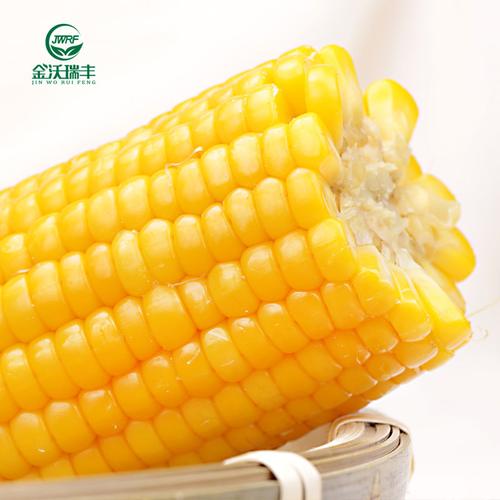 金沃真空1600g粗粮基因装非香醇瑞丰玉米棒甜糯玉米