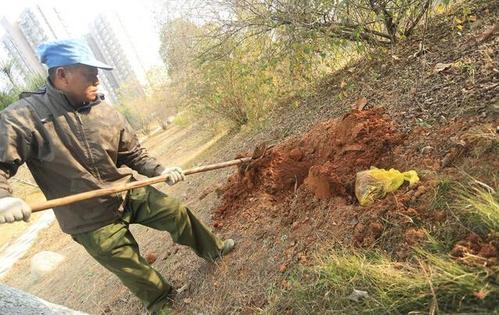 江西一公园10多具死胎被野狗刨出 初步认定为医院引产