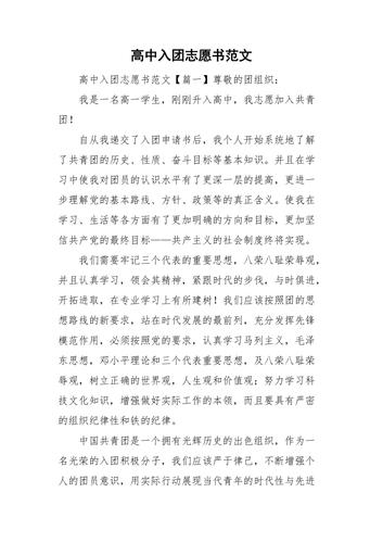 高中入团志愿书范文