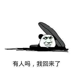 有人吗?我回来了(熊猫人下水盖)表情包 - 表情图