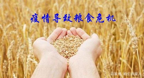 疫情在蔓延,6点理由看粮食危机已呈现,中国农民福音来