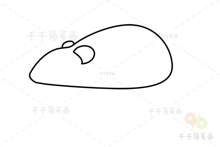 复齿鼯鼠简笔画