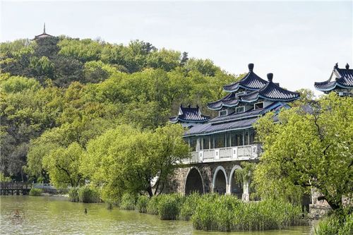 华东踏青必游景点,无锡绝佳赏樱之地,感受太湖山水大美之处