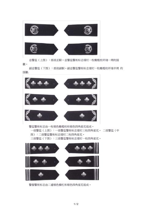 警察级别分类.docx 2页