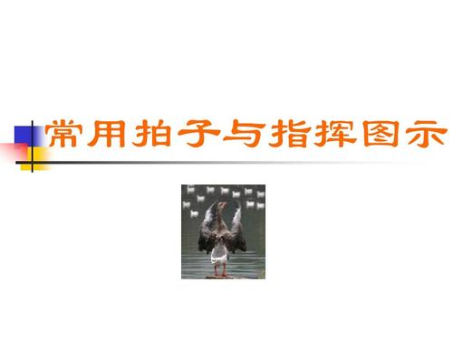 常用拍子与指挥图示