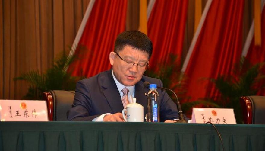 市委书记 毕力夫