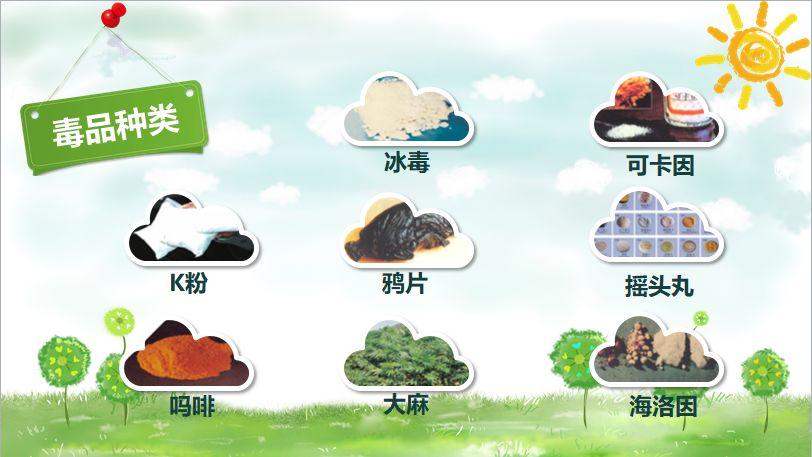 (毒品种类演示文稿)