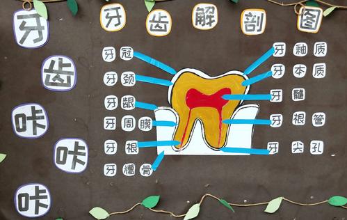 九月主题课程《牙齿咔咔咔》
