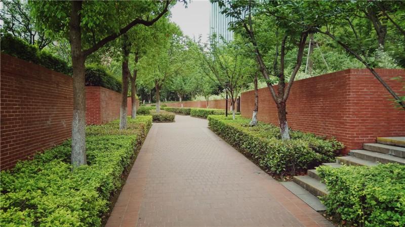 【每日一园】虹口区第一块大型开放式绿地——四川北路公园!