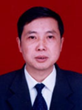 刘小龙(湖南省冷水江市市委书记)