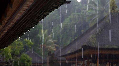 春雨柔绵,和风细雨,润物无声;夏雨急骤,如遇台风天,则墙倾树摧,积洪