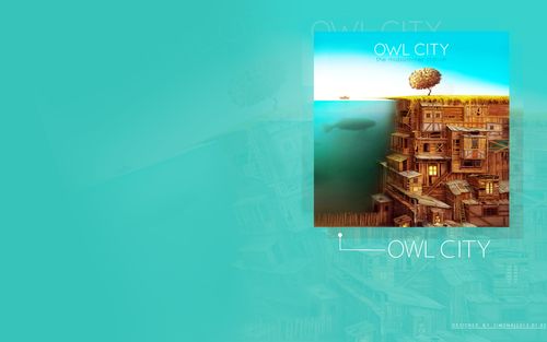 owl city