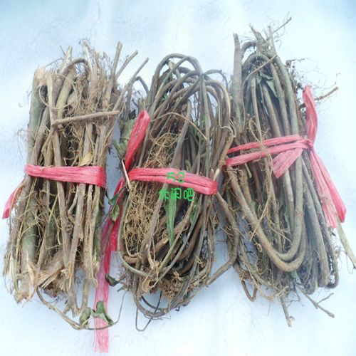 丽水龙泉特产牛奶藤