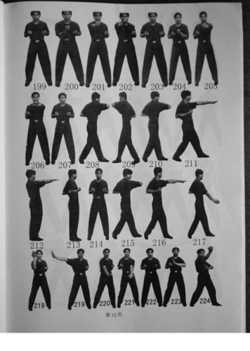 咏春拳教学,自学教程