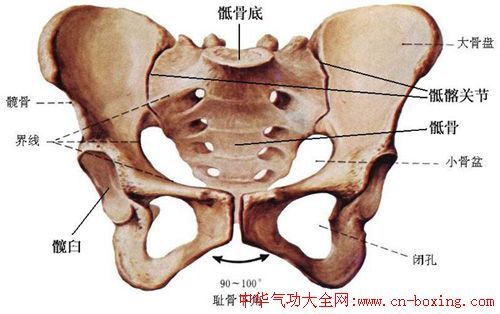 松动骶髂关节的最好方法是练三心并站庄