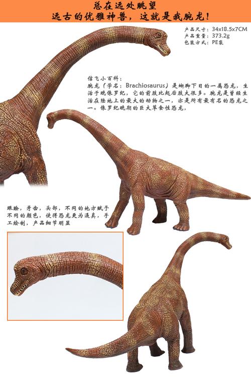 34cm 仿真恐龙模型 环保pvc硬质实心大号腕龙长颈巨龙模型玩具