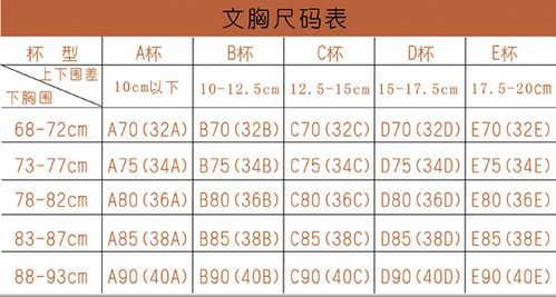 胸围85是什么罩杯