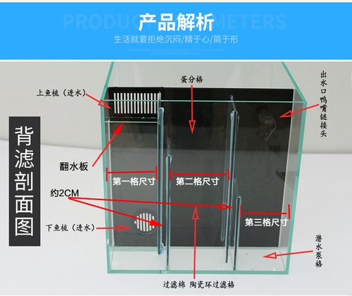 金晶超白生态背滤缸侧滤生态海水缸草缸龟缸鱼缸缸客厅小型