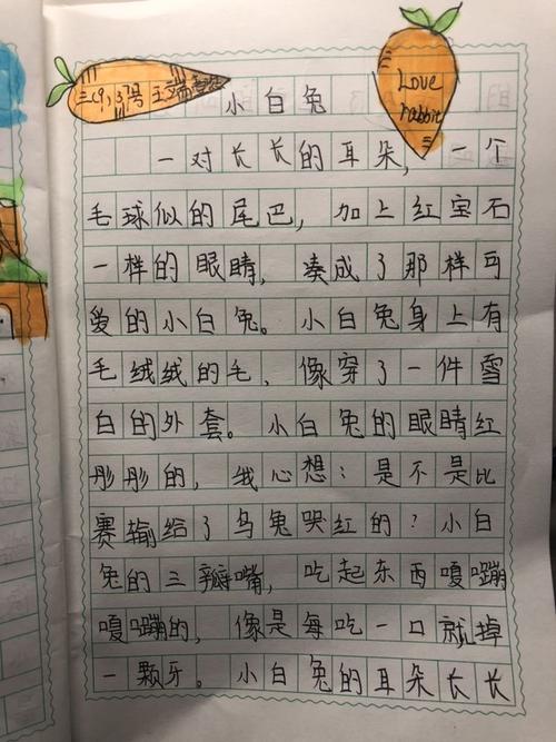我学名家写写小动物——记三年9班描写小动物外形特点的小练笔